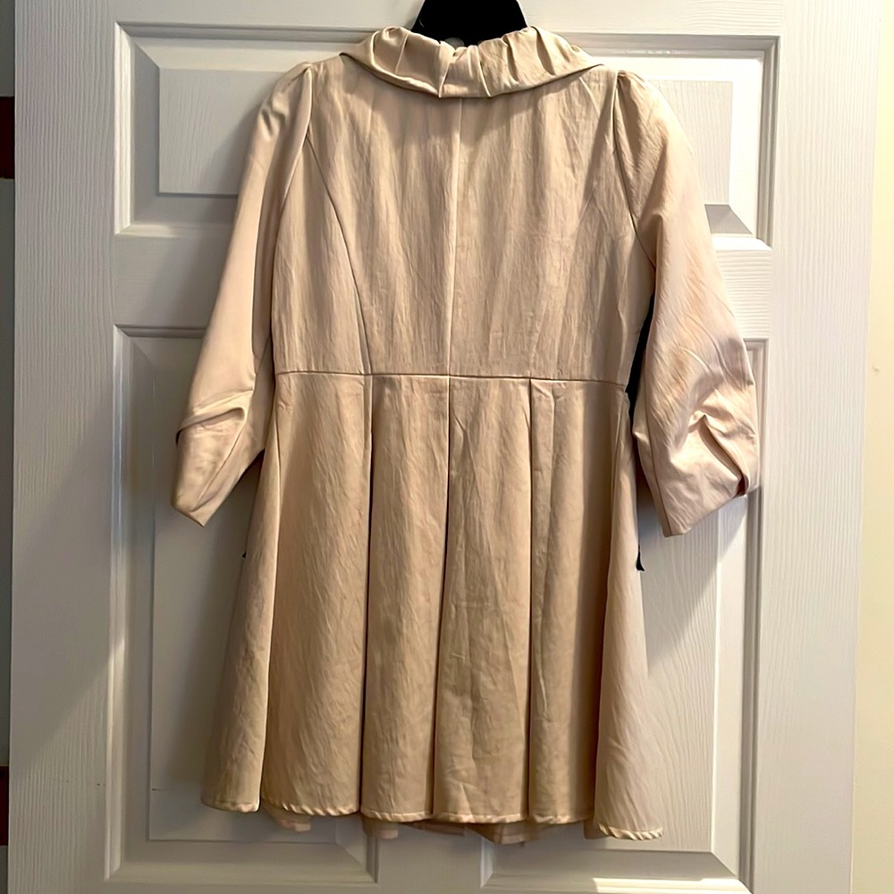 EUC Rye Pleated Jacket - Picture 7 of 11